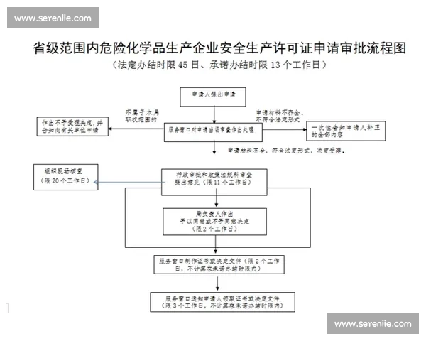 比赛流程图解析与实施步骤详细指南